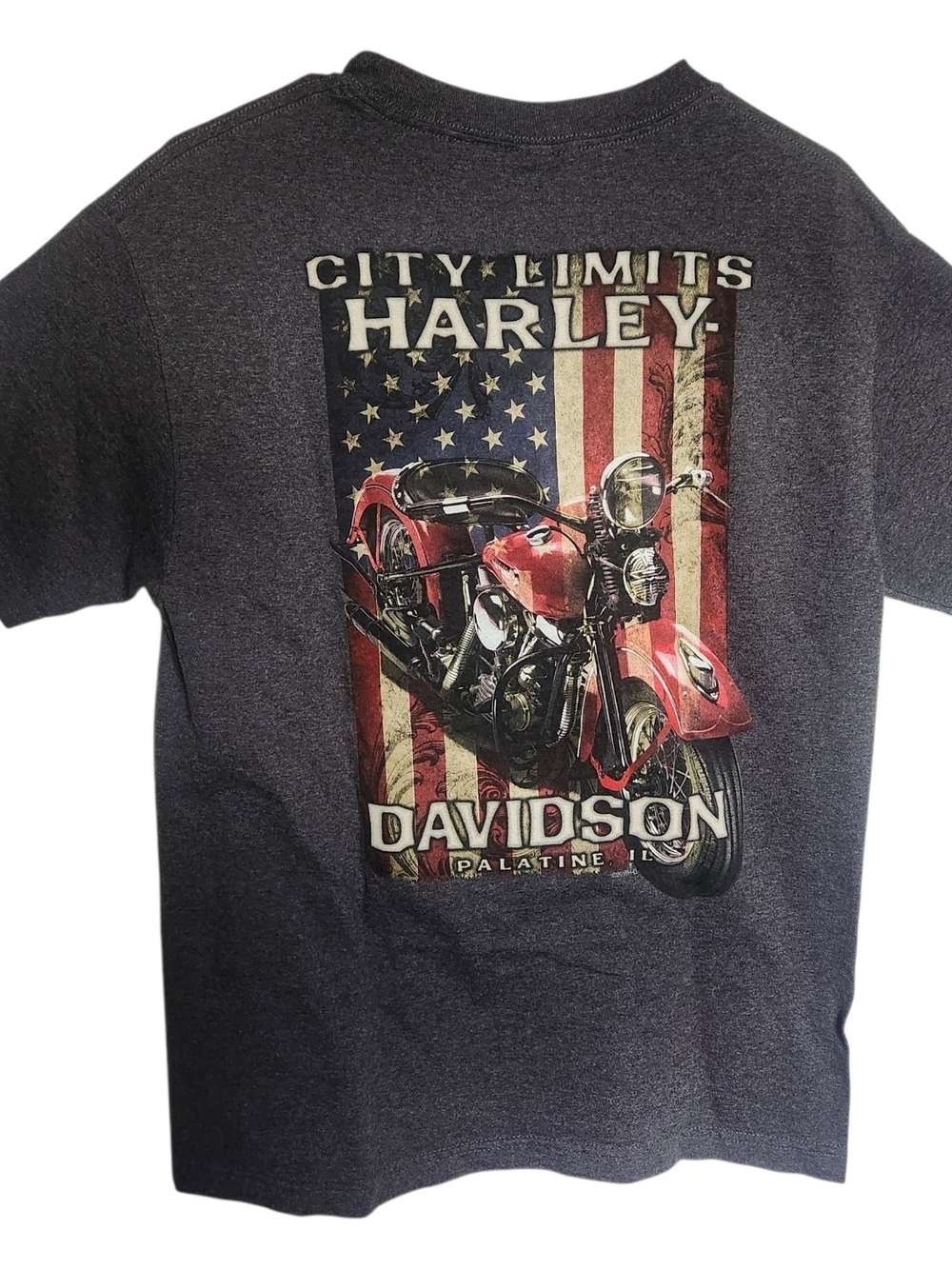 Harley-Davidson Motorcycle Graphic Tee Palatine, il Biker Festival  Size Medium